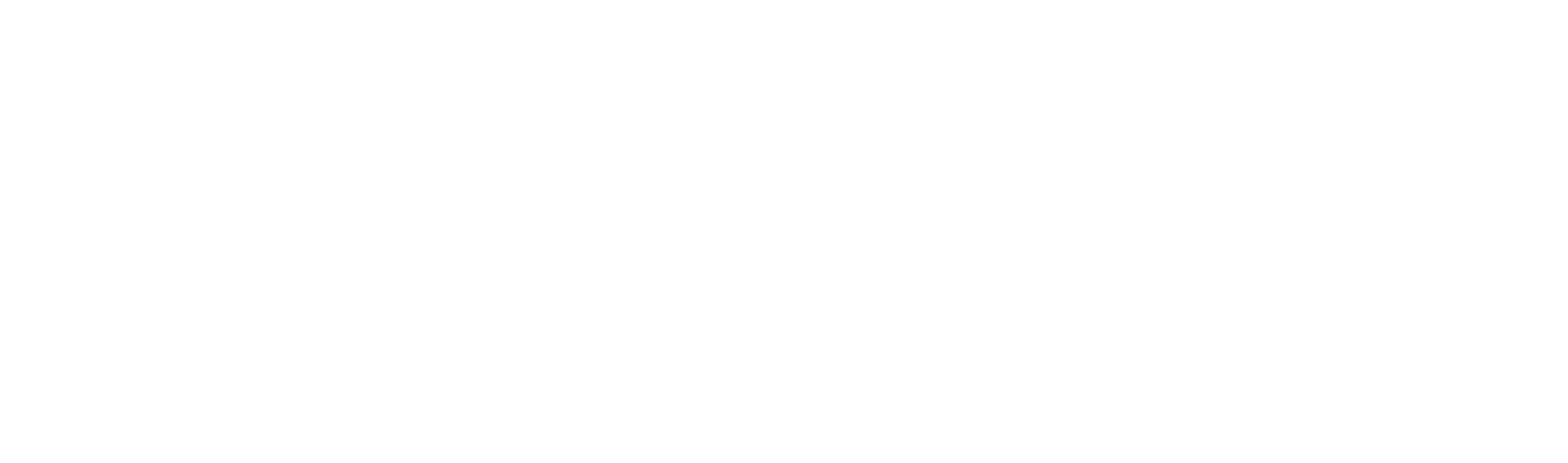 Logo Americanet